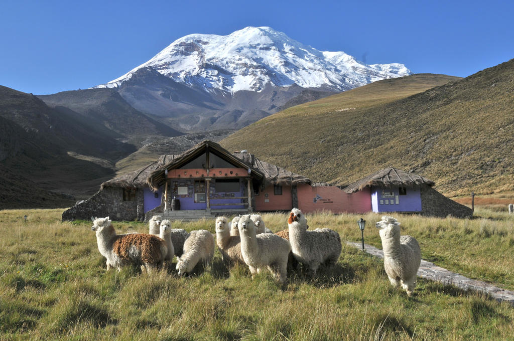 Chimborazo Lodge Εξωτερικό φωτογραφία